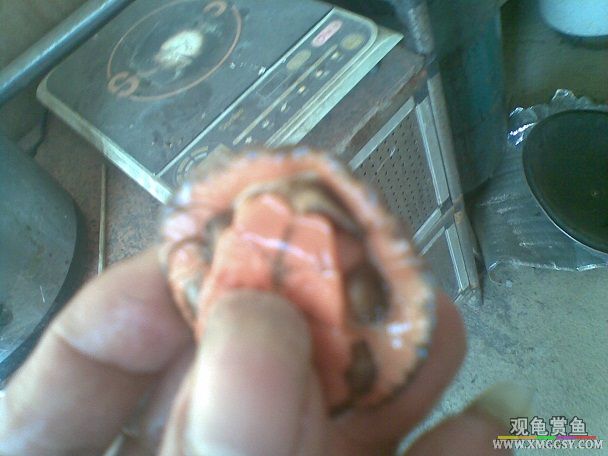 20121106(008).jpg