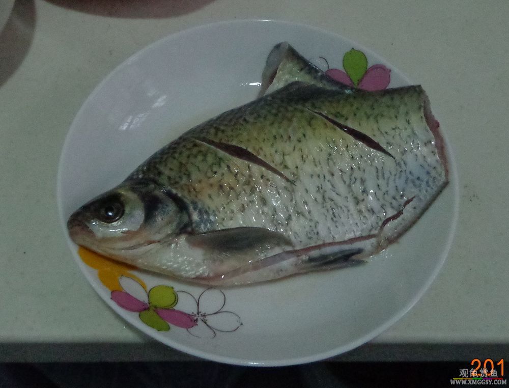 DSC05844f.jpg