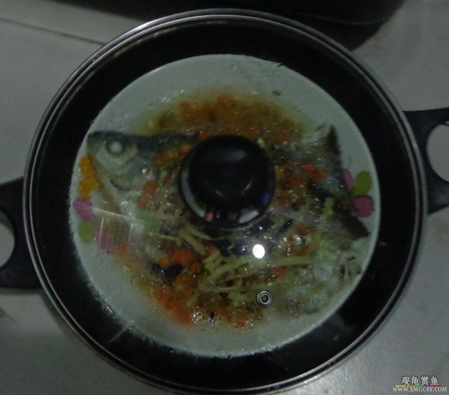 DSC05872f.jpg