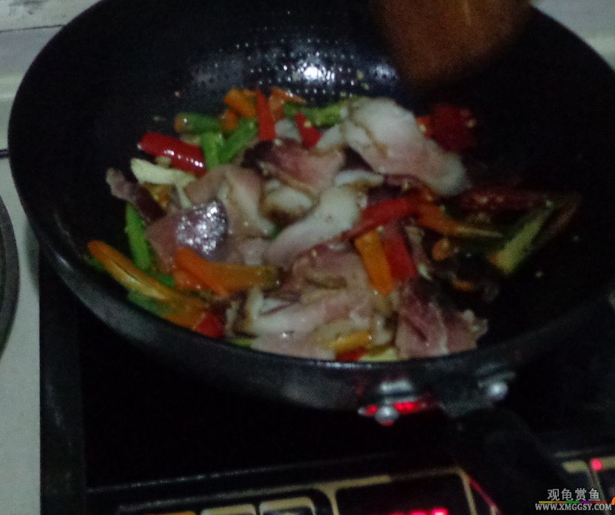 DSC05876f.jpg