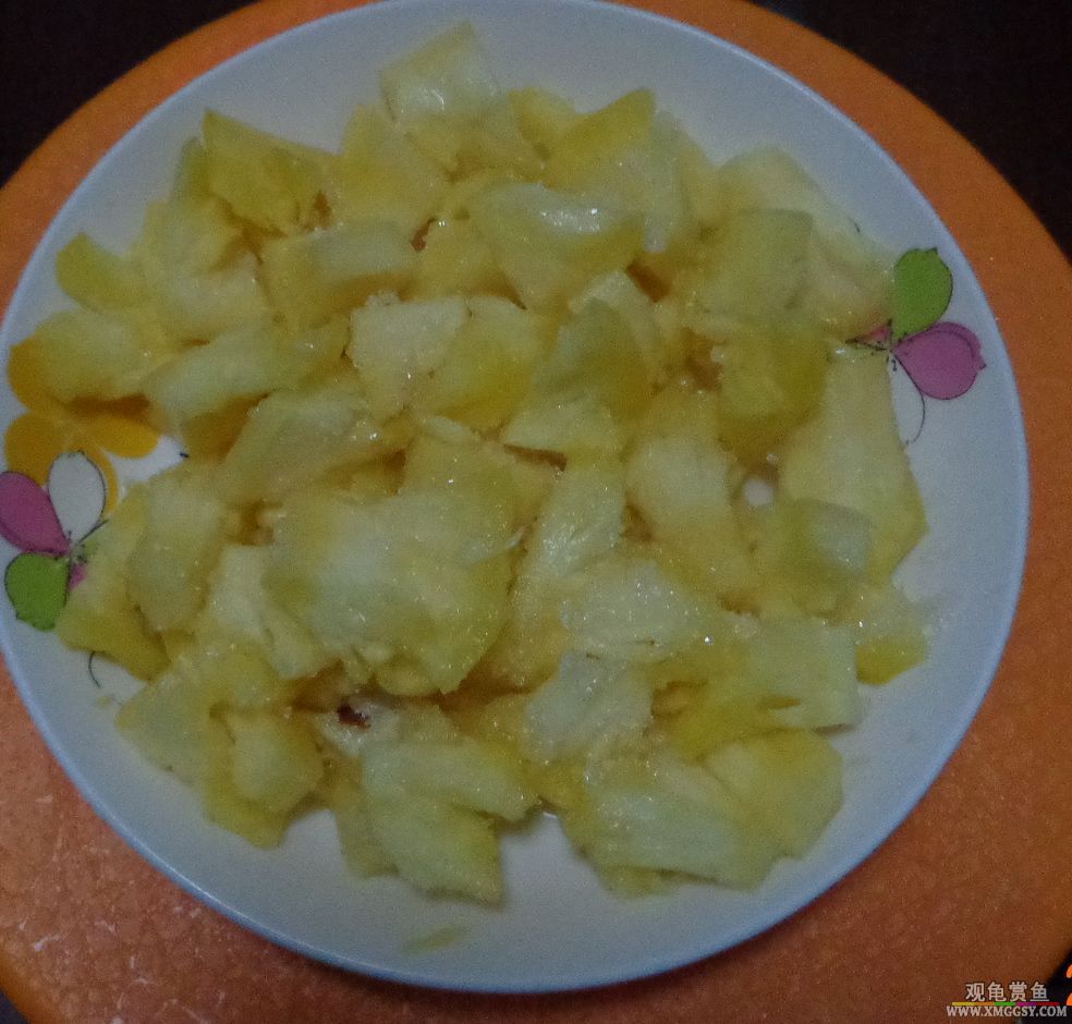 DSC05877f.jpg