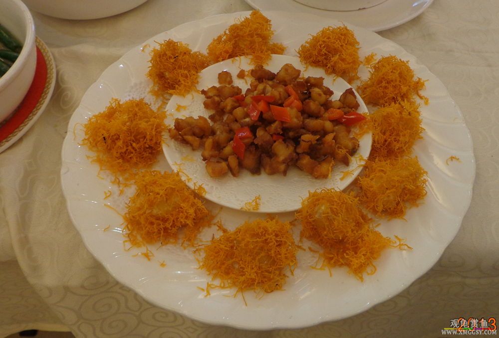 DSC06513_.jpg