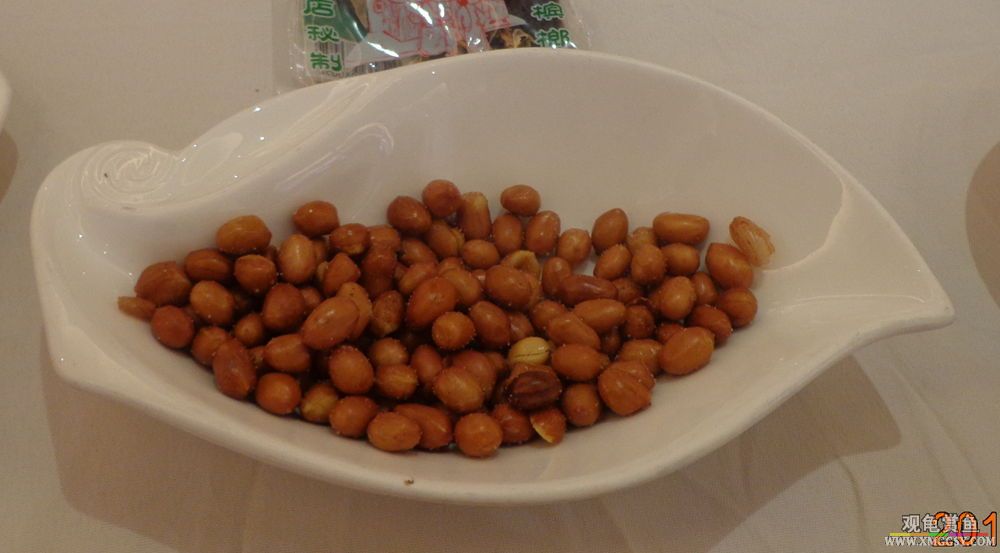 DSC06479_.jpg