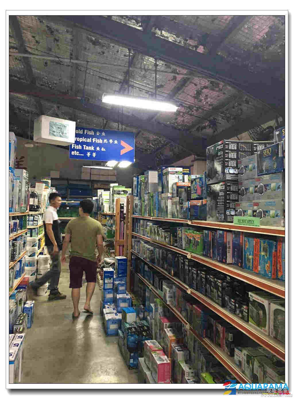豸2.jpg