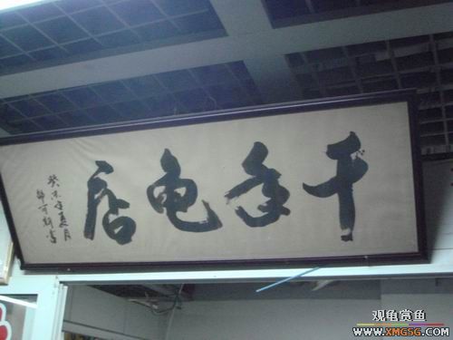 ݻгһ