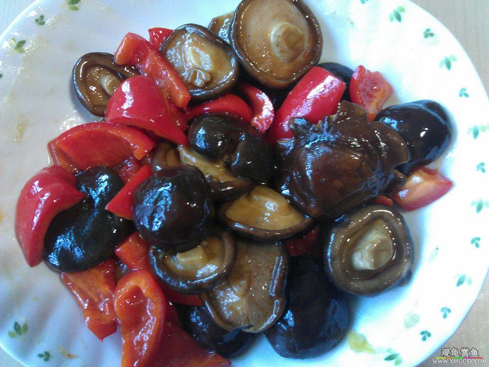 ��ʱ�ļ���2012-05-31 17.41.40.jpg