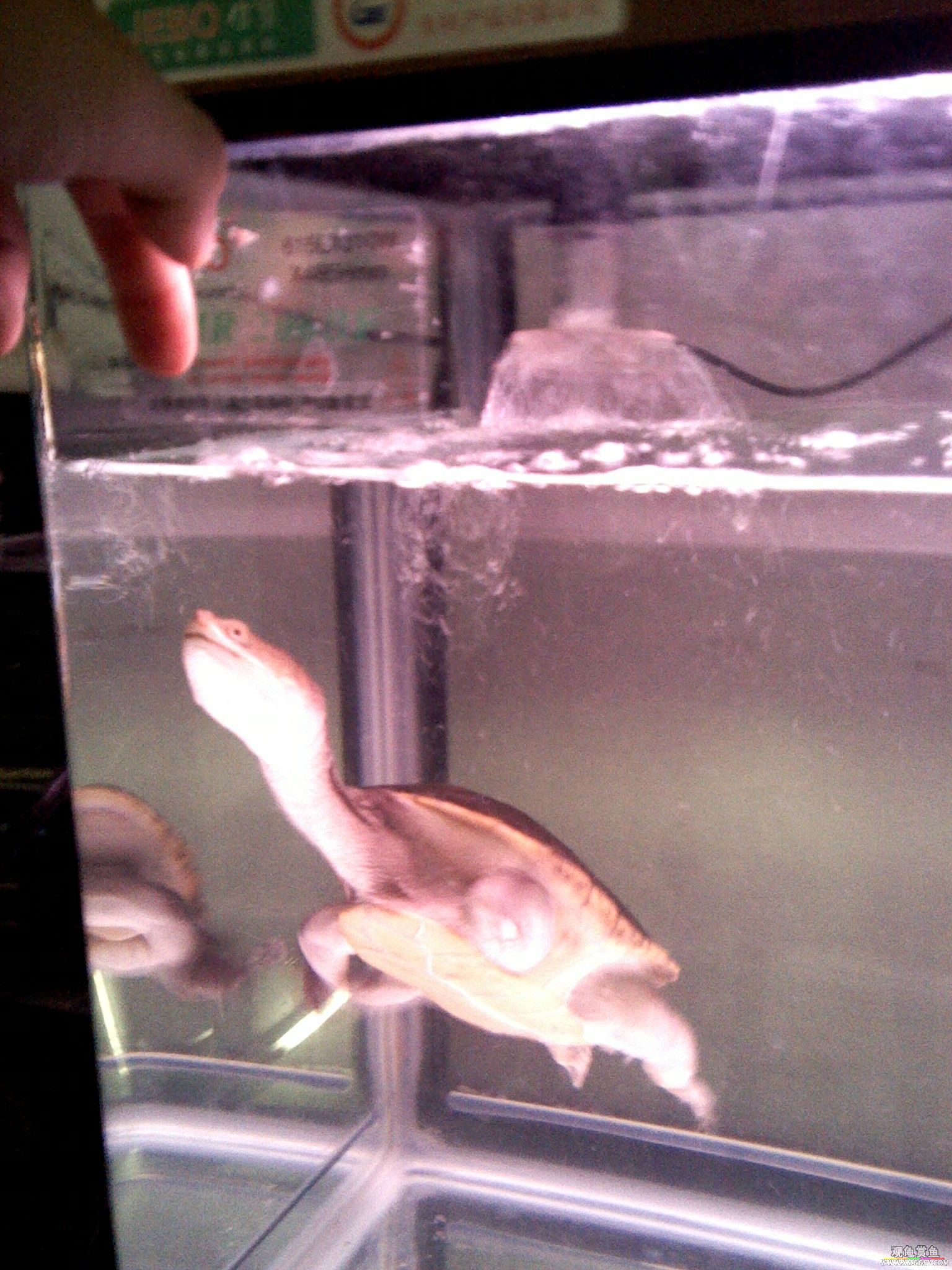 ����Գ�ô= =