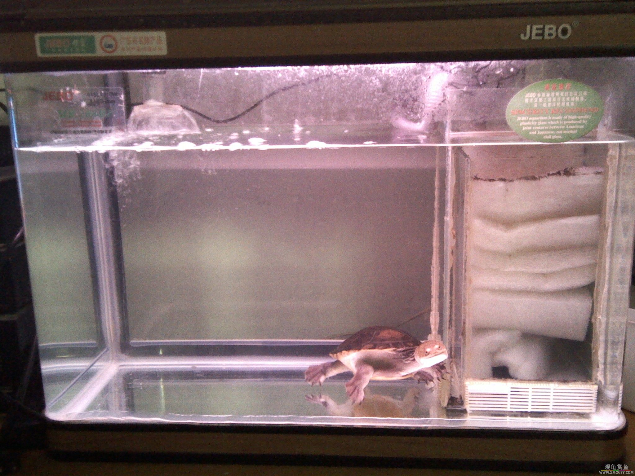 �Լ��ĵĲ���