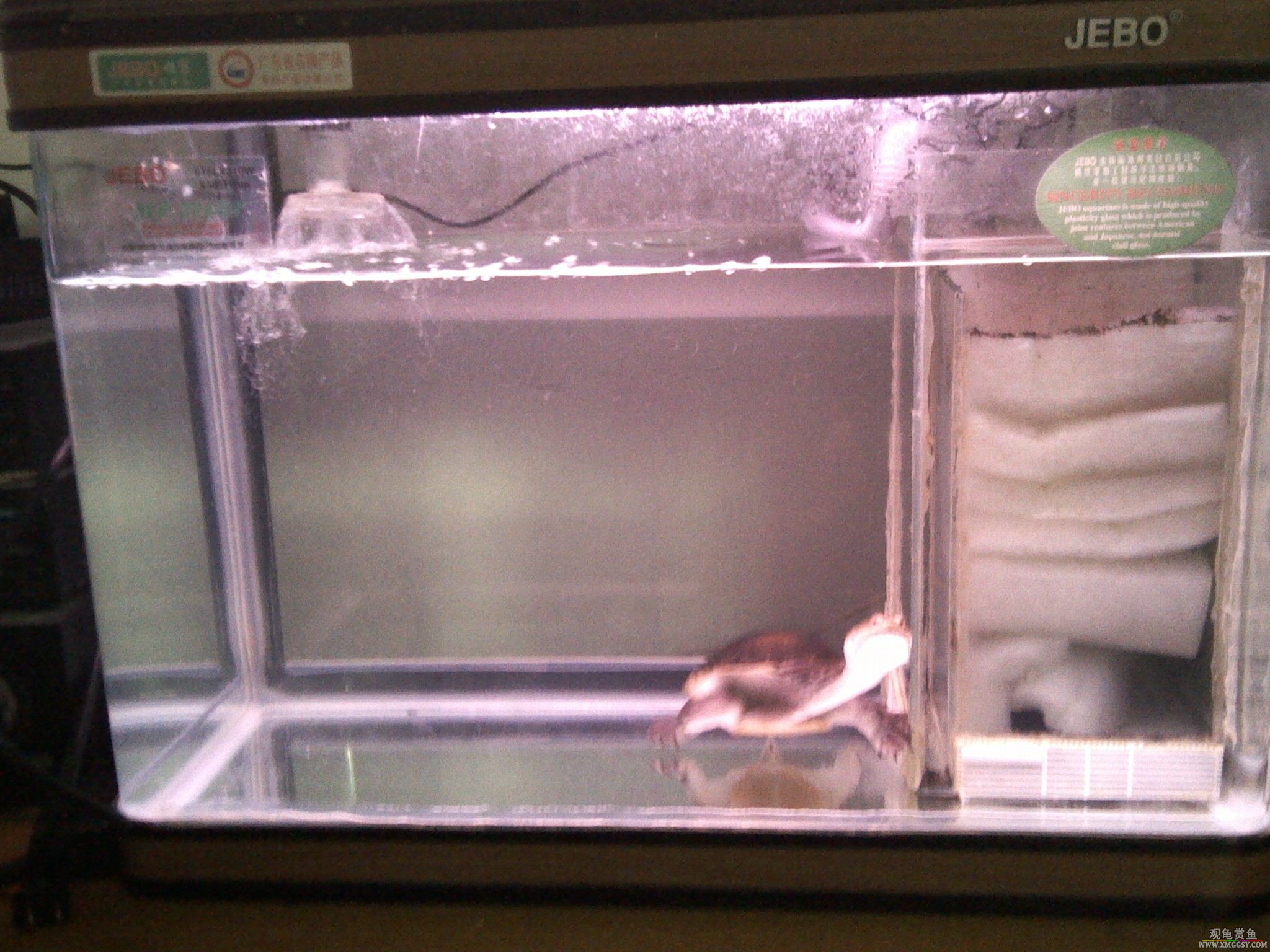 �׺ͳ�����