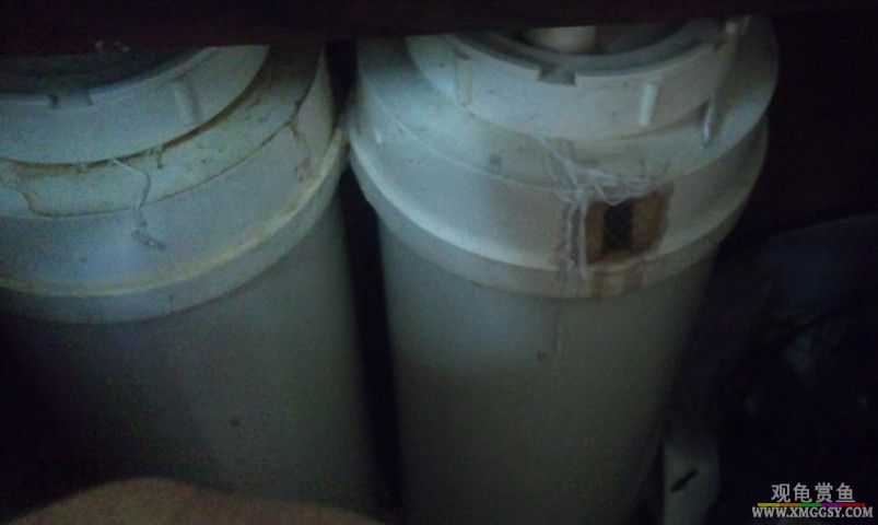 ˫Ͱ��ƷŹ�����