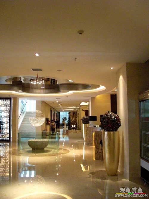 2-f.jpg