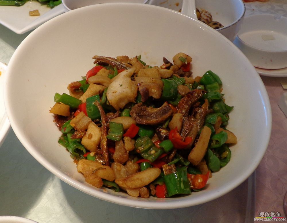 19-f.jpg