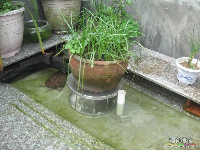 ����Ч��ˮ