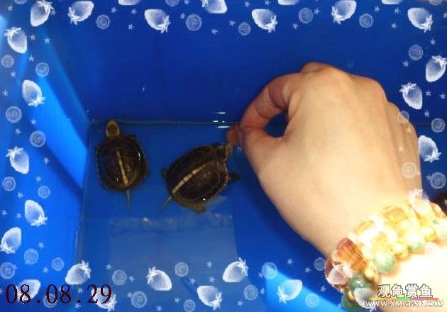 1��ʱ���ĵ�