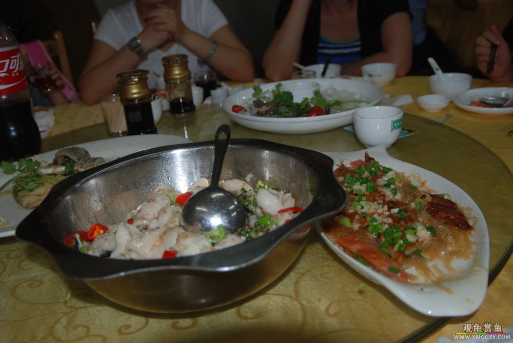DSC_6042.JPG