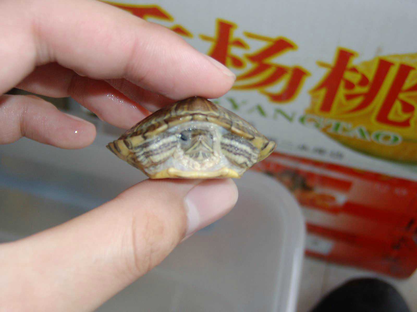 ���������ͷ�ְֹͶ�����һ��