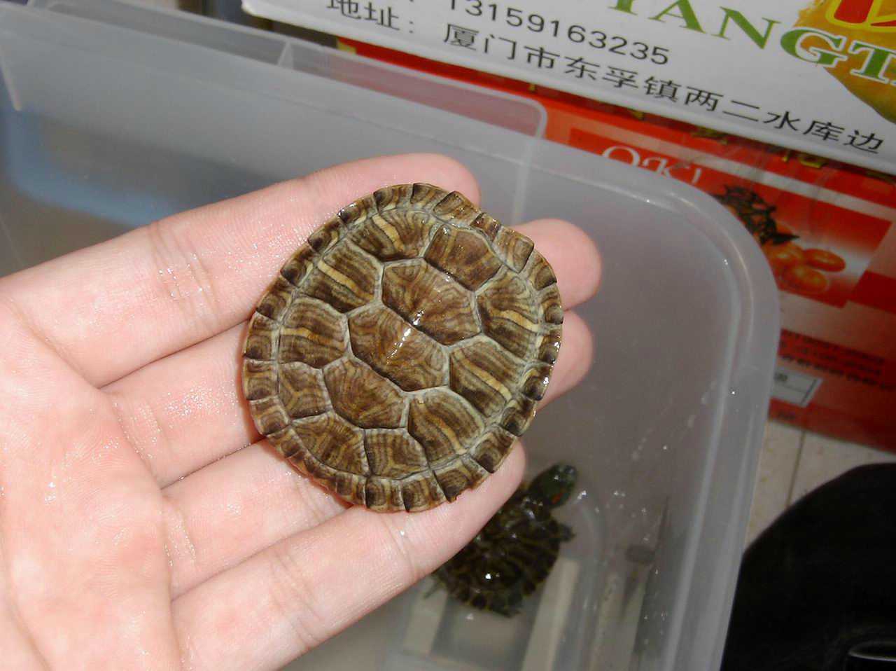 ���������ͷ�ְֹͶ�����һ��