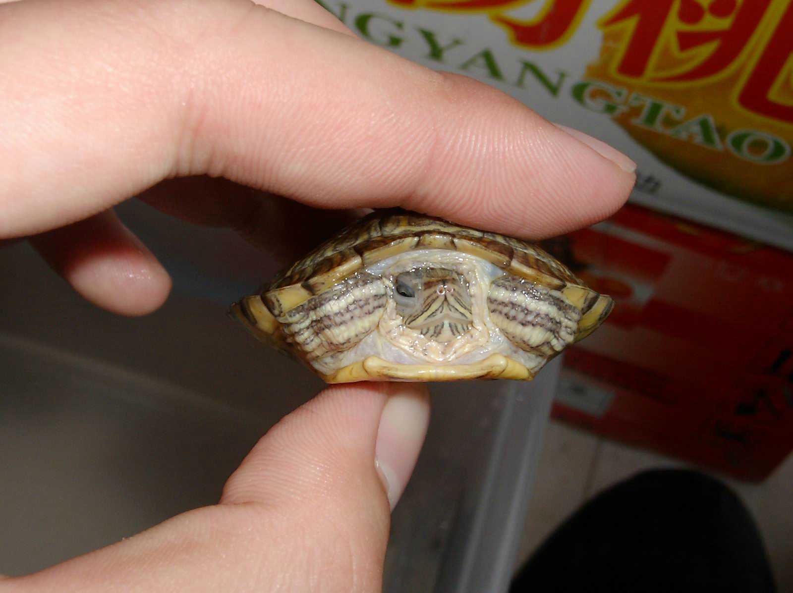 ���������ͷ�ְֹͶ�����һ��