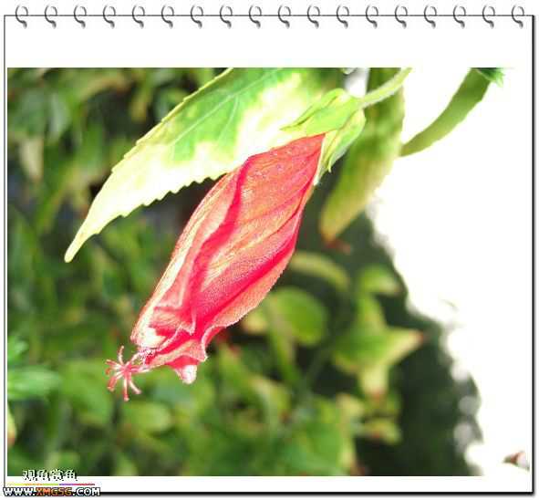 ��÷�����