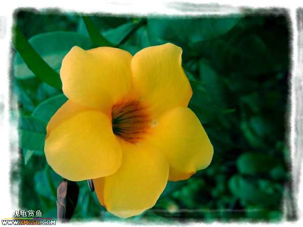 ��÷�����