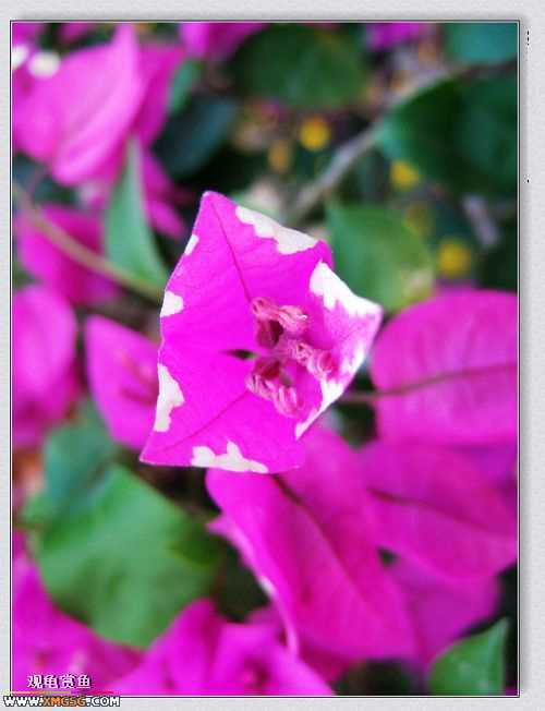 ��÷�����