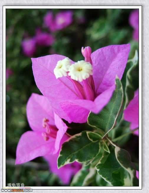 ��÷�����