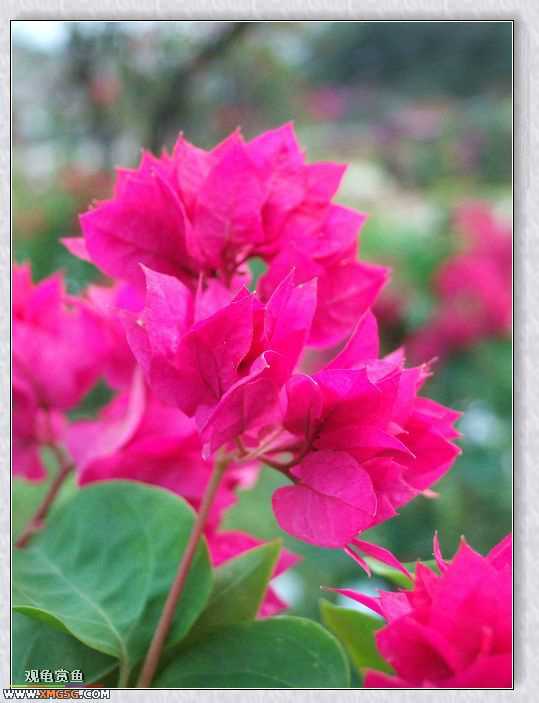 ��÷�����