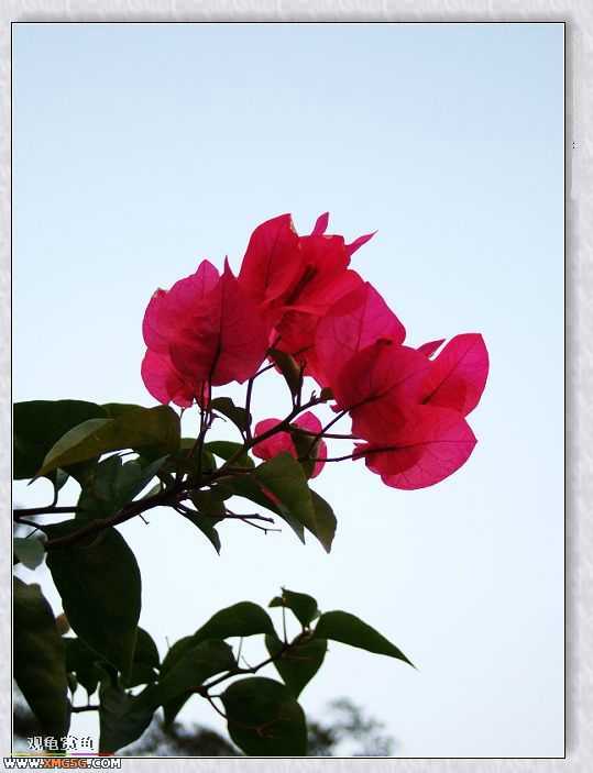 ��÷�����