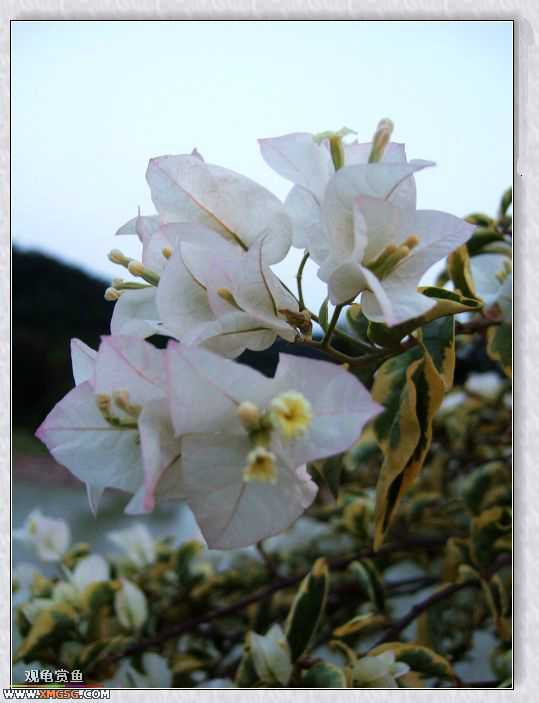 ��÷�����