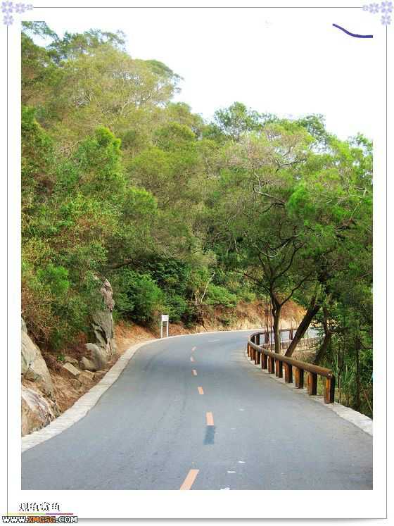 ��÷�����