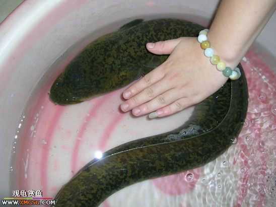 ��Ҳ²¿�����ʲô~~~~