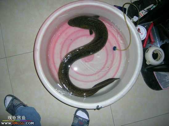 ��Ҳ²¿�����ʲô~~~~