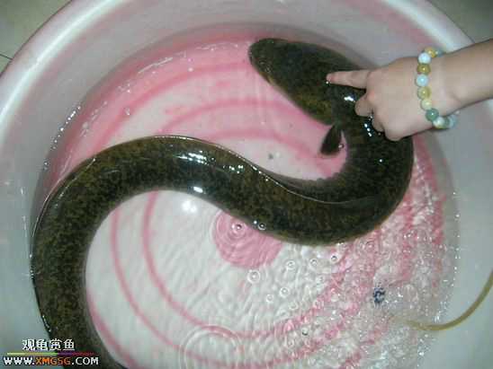 ��Ҳ²¿�����ʲô~~~~