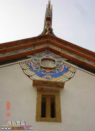 06.10.02 ѹ����