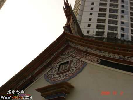 06.10.02 ѹ����