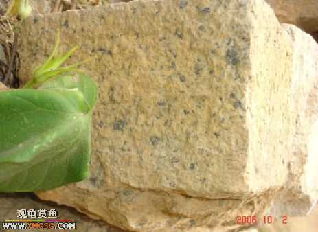 06.10.02 ѹ����