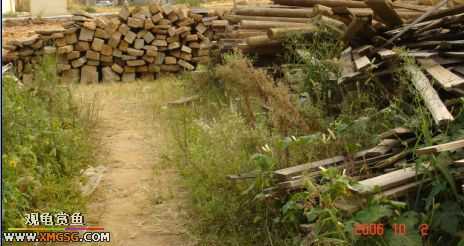 06.10.02 ѹ����