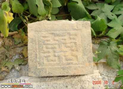 06.10.02 ѹ����