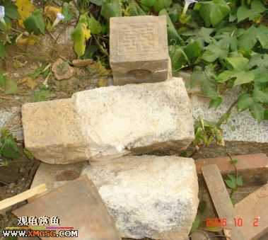 06.10.02 ѹ����