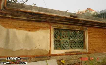 06.10.02 ѹ����