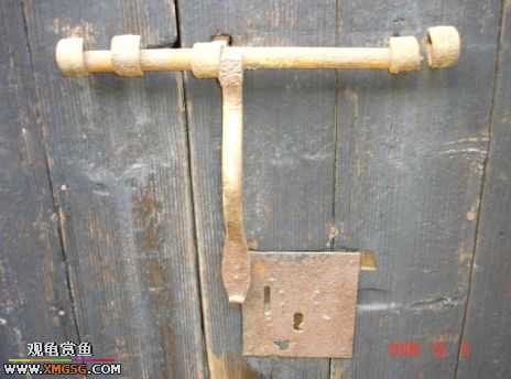 06.10.02 ѹ����