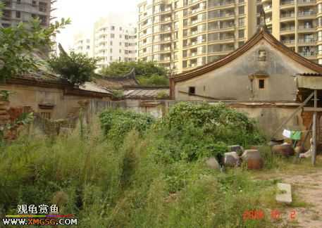 06.10.02 ѹ����