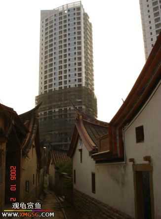 06.10.02 ѹ����