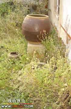 06.10.02 ѹ����