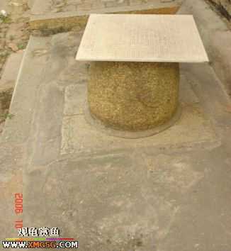 06.10.02 ѹ����