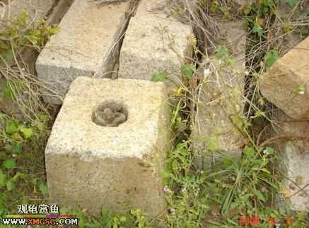 06.10.02 ѹ����