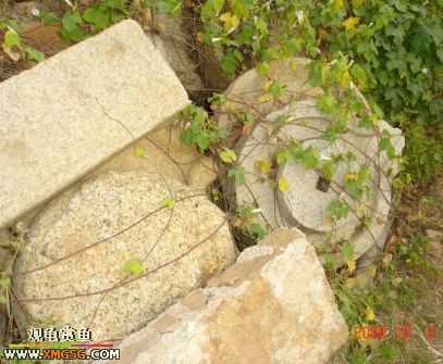 06.10.02 ѹ����