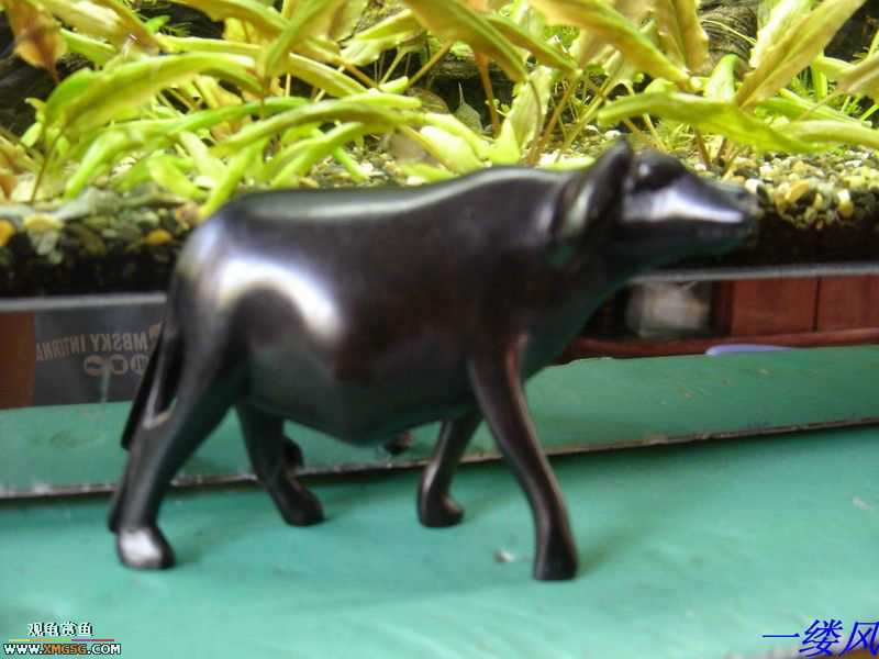 �ӿ����Ǵ�������