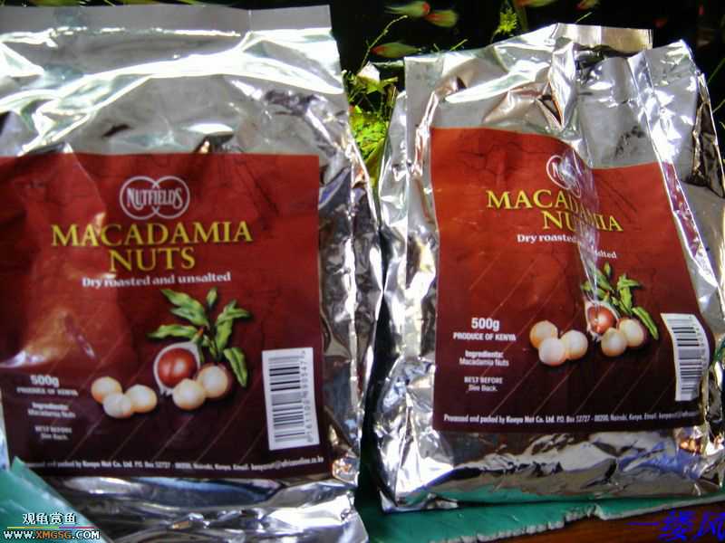 �ӿ����Ǵ�������