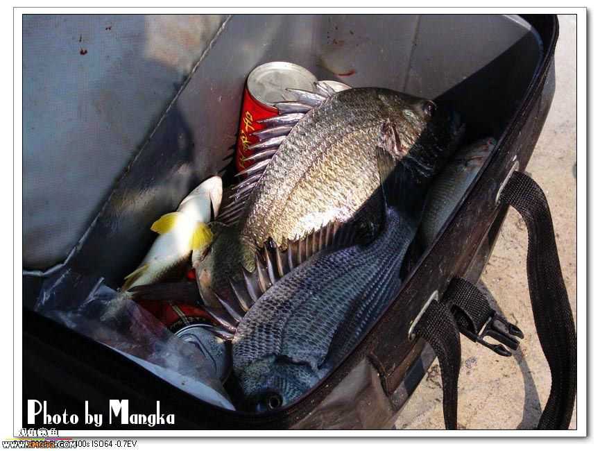 ��������� �����ҵĵ���